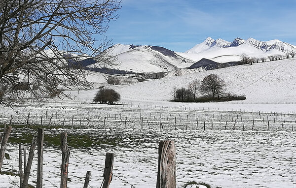Holiday Home - Louvie-Juzon , France - FAP123 904