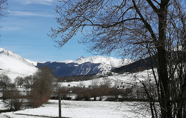 Holiday Home - Louvie-Juzon , France - FAP123 905