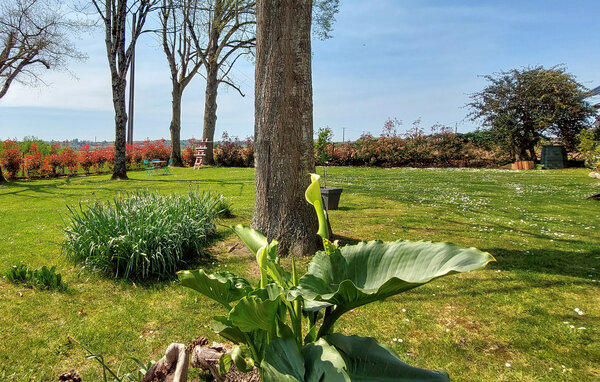 Holiday Home - Dognen , France - FAP129 3