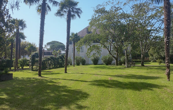 Location de vacances - Rivehaute , France - FAP132 81
