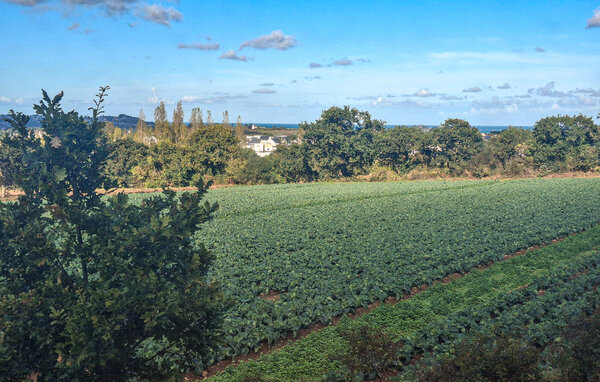 Feriehuse - Paimpol , Frankrig - FBC863 905