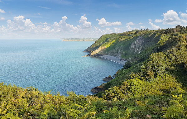 Casa de vacaciones - Pommerit-le-Vicomte , Francia - FBC866 904