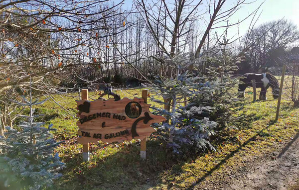 Casa de vacaciones - Rosporden , Francia - FBF794 102