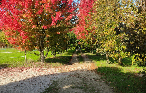 Casa de vacaciones - Rosporden , Francia - FBF794 104