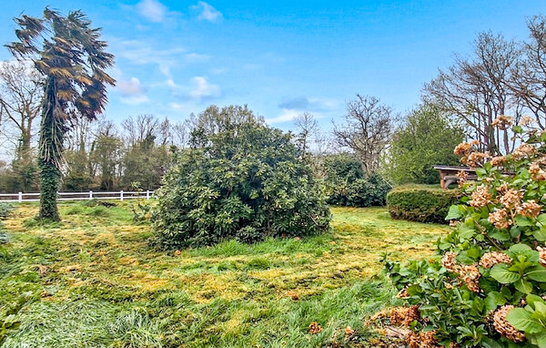 Semesterhus - Meglven , Frankrike - FBF798 101