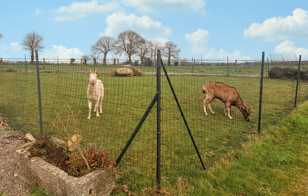 Semesterhus - Parigné , Frankrike - FBI195 101