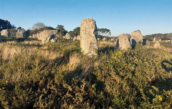 Ferienhaus - Carnac , Frankreich - FBM317 901