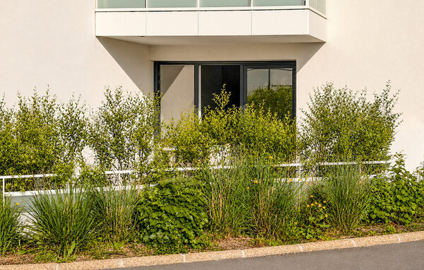 Appartement - Muzillac , Frankrijk - FBM324 81