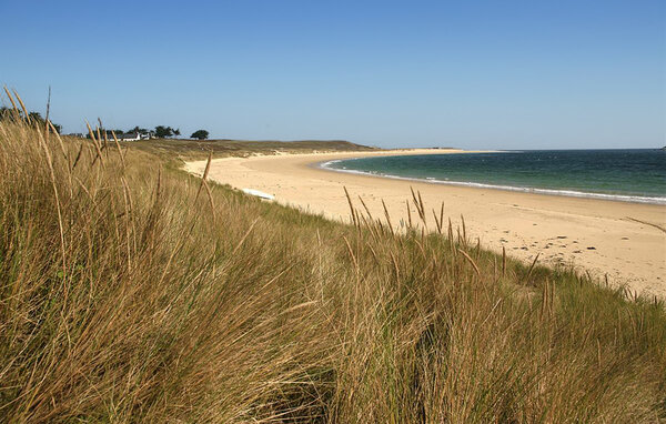 Appartement - Carnac , Frankrijk - FBM329 902