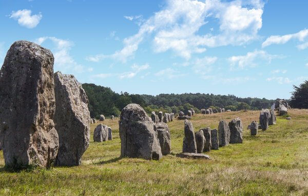 Appartement - Carnac , Frankrijk - FBM329 903