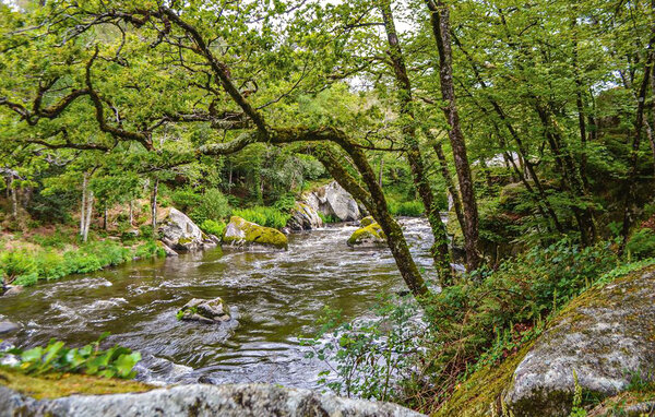 Ferienhaus - Priziac , Frankreich - FBM332 9