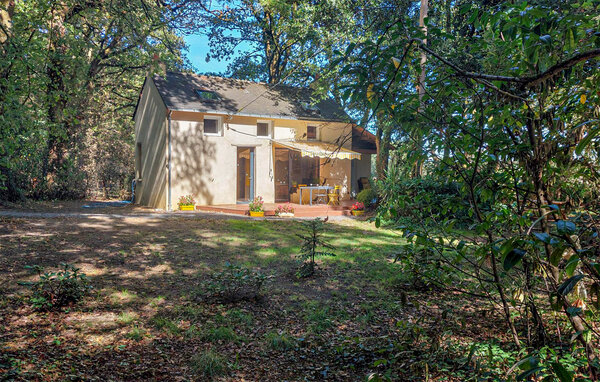 Ferienhaus - La Roche Bernard , Frankreich - FBM335 81