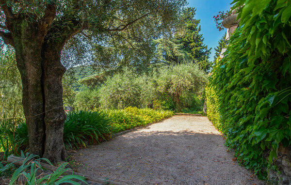 Ferienhaus - Grasse , Frankreich - FCA920 103