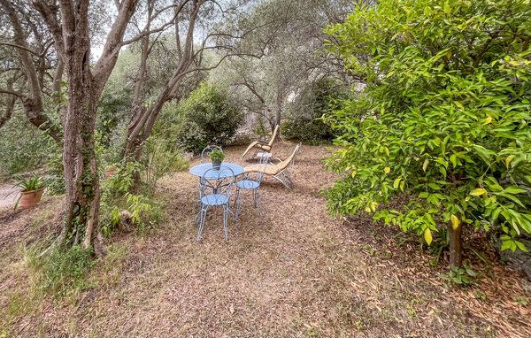 Location de vacances - Peymeinade , France - FCA930 2