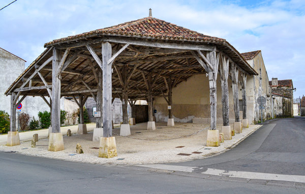 Feriehuse - Saint-Jean-d'Angle , Frankrig - FCH214 901