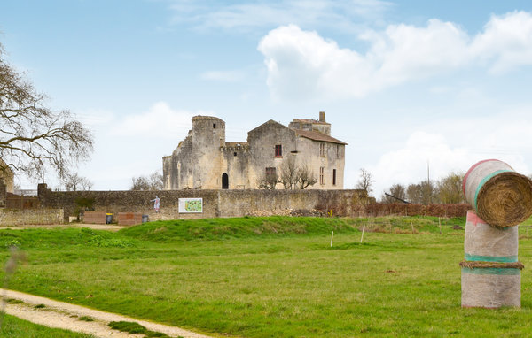 Feriehuse - Saint-Jean-d'Angle , Frankrig - FCH214 902