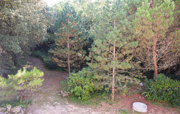 Holiday Home - Saint-Georges-d'Oléron , France - FCH235 105