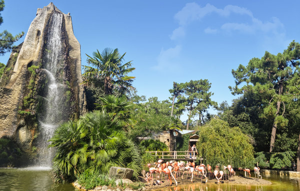 Ferienhaus - Ile d'Oléron , Frankreich - FCH271 907