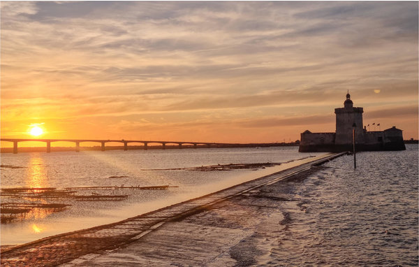 Location de vacances - Mortagne sur Gironde , France - FCH288 8