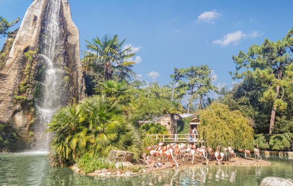Location de vacances - Saint-Georges-de-Didonne , France - FCH295 918