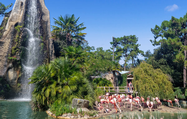 Casa vacanze - Médis , Francia - FCH296 913