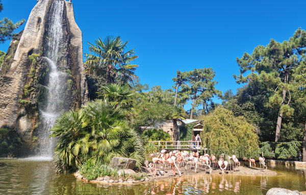 Location de vacances - Ile d'Oléron , France - FCH313 912