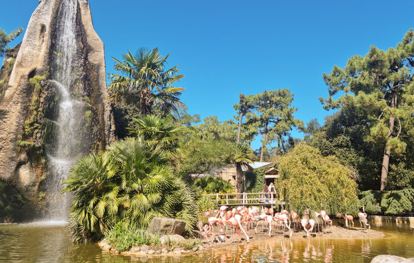 Holiday Home - Ile de Ré , France - FCH332 910