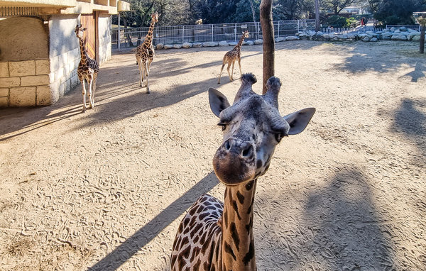 Holiday Home - Médis , France - FCH350 906