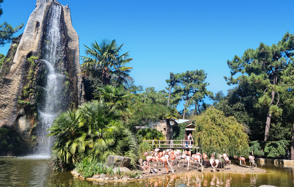Location de vacances - Mornac-sur-Seudre , France - FCH390 904
