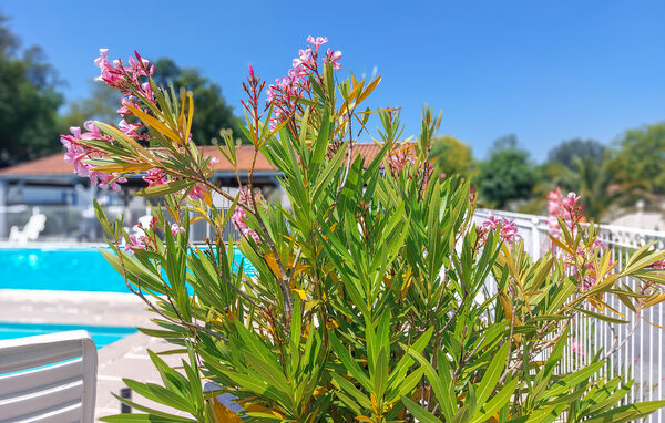 Ferienhaus - Saint-Georges-de-Didonne , Frankreich - FCH392 103