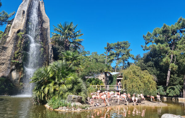 Casa de vacaciones - Saujon , Francia - FCH471 905