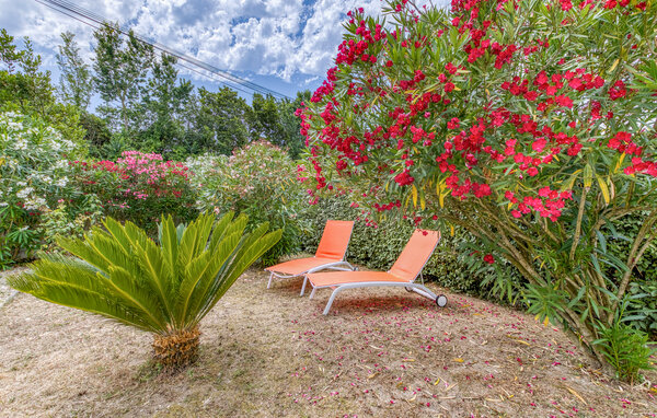 Location de vacances - Ile d'Oléron , France - FCH481 9