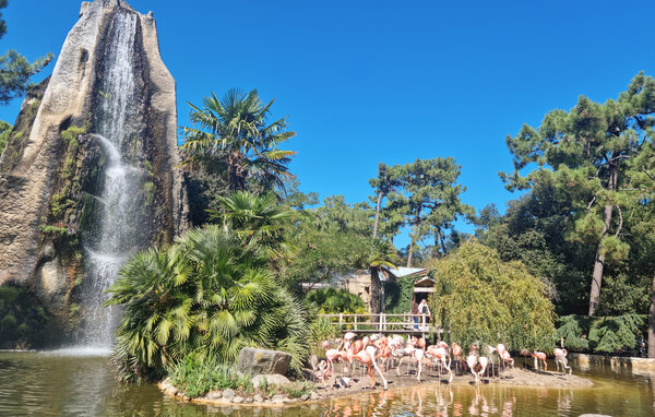 Holiday Home - Meschers-sur-Gironde , France - FCH493 904