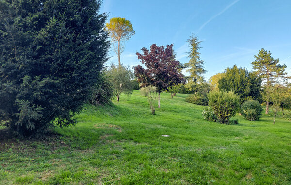 Vakantiehuis - Dompierre-Sur-Charente , Frankrijk - FCH505 103