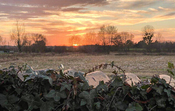 Vakantiehuis - Cravans , Frankrijk - FCH508 901