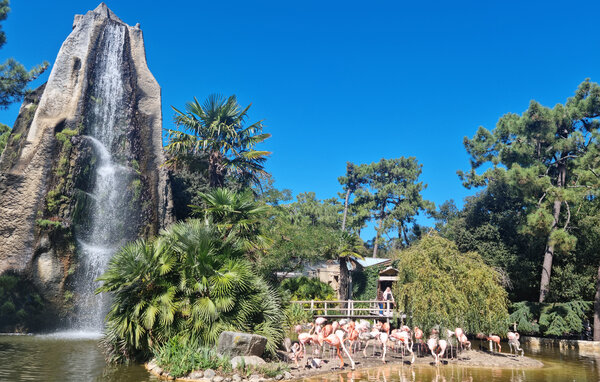 Holiday Home - Royan , France - FCH509 902