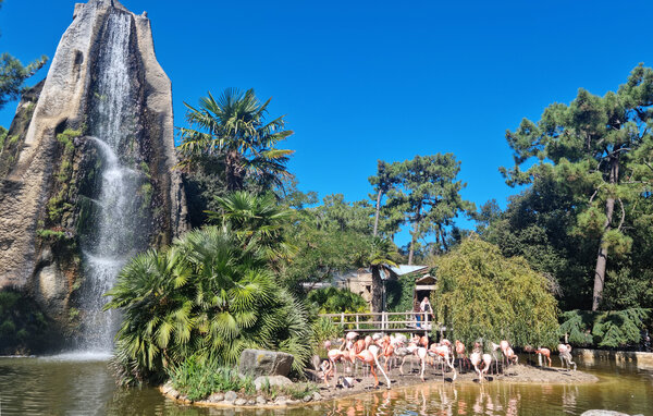 Appartamento - Châtelaillon-Plage , Francia - FCH510 903