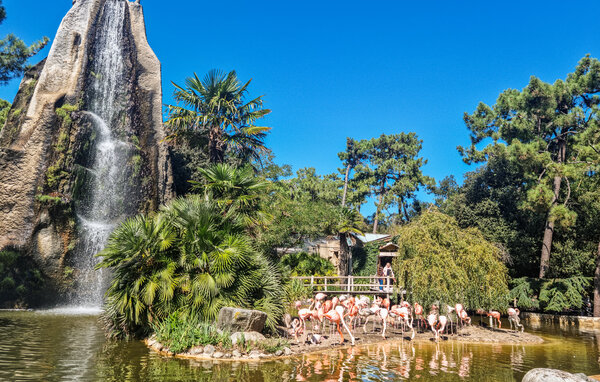 Feriehus - Chenac-Saint-Seurin-d'Uzet , Frankrig - FCH513 904