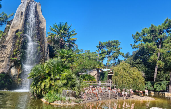 Appartement - Royan , Frankrijk - FCH514 902