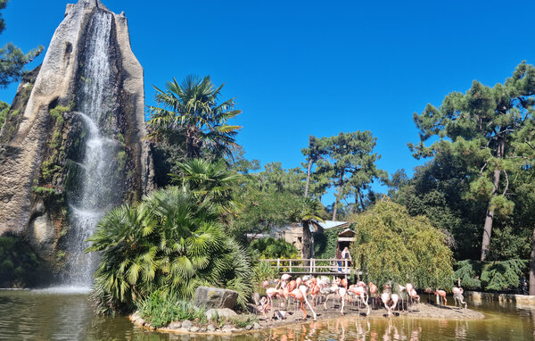 Ferienwohnung - Royan , Frankreich - FCH519 905