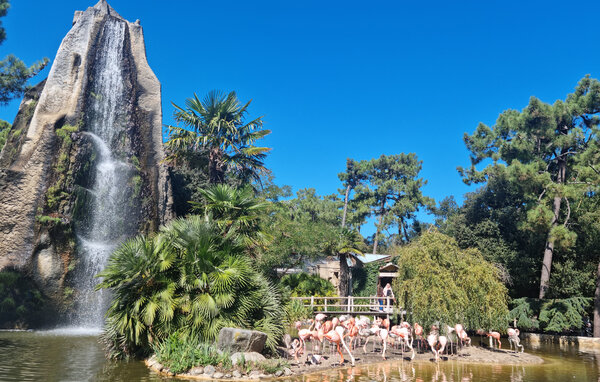 Apartament - Saint-Georges-de-Didonne , Francja - FCH523 905