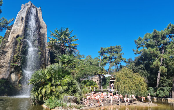 Domy wakacyjne - Tonnay-Charente , Francja - FCH524 903