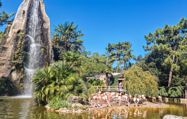 Lejlighed - Saint-Georges-de-Didonne , Frankrig - FCH527 903