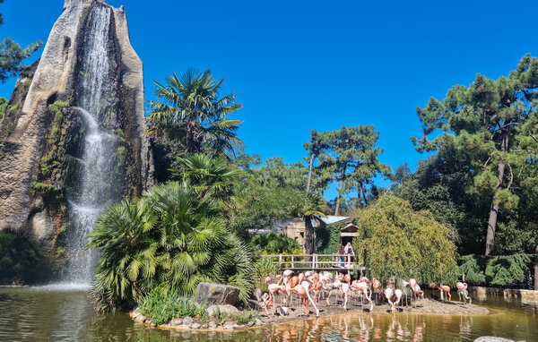 Semesterhus - Ile d'Oléron , Frankrike - FCH529 901