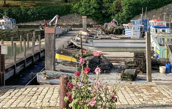 Ferienhaus - Le Château-d'Oléron , Frankreich - FCH537 901