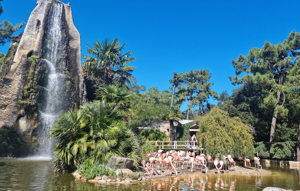 Ferienwohnung - Royan , Frankreich - FCH542 902