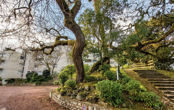 Ferienwohnung - Royan , Frankreich - FCH542 81