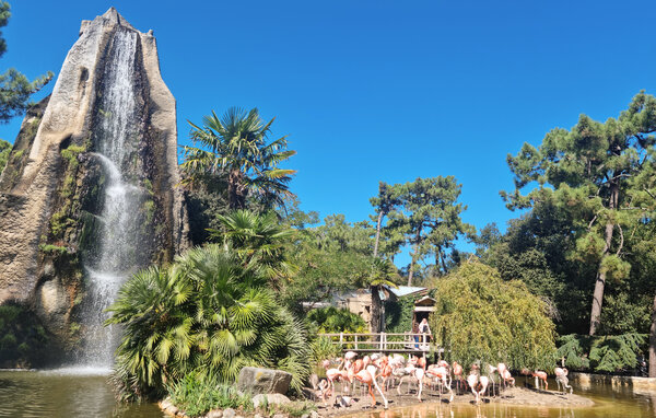 Casa vacanze - Meschers-sur-Gironde , Francia - FCH544 901