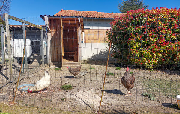 Casa vacanze - Meschers-sur-Gironde , Francia - FCH544 103