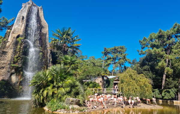 Appartement - Saint-Georges-de-Didonne , Frankrijk - FCH550 902